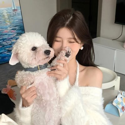 真爱来找碴